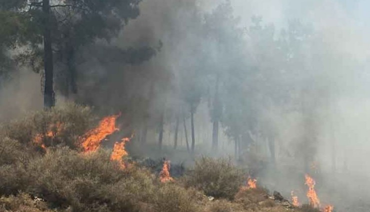 Hatay'da Orman Yangını!