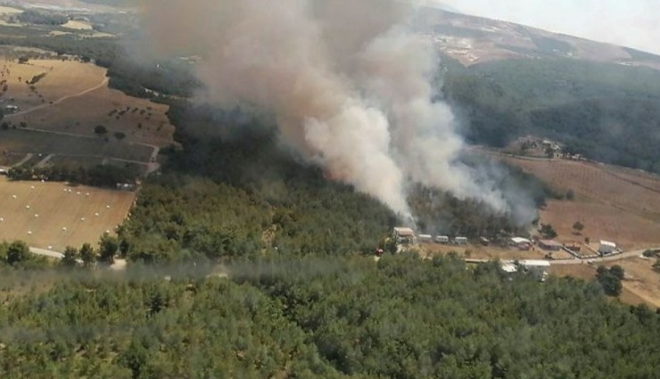 İzmir'e 'Orman Yangını' Uyarısı!
