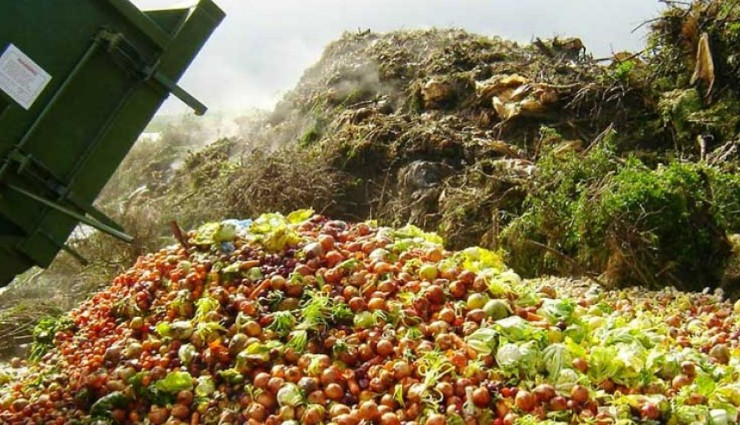 Milyonlarca Ton Gıda Çöpe Gidiyor!
