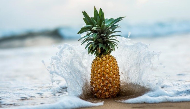 İnsan Bağışıklık Sistemi Bir Ananas Ağırlığında!