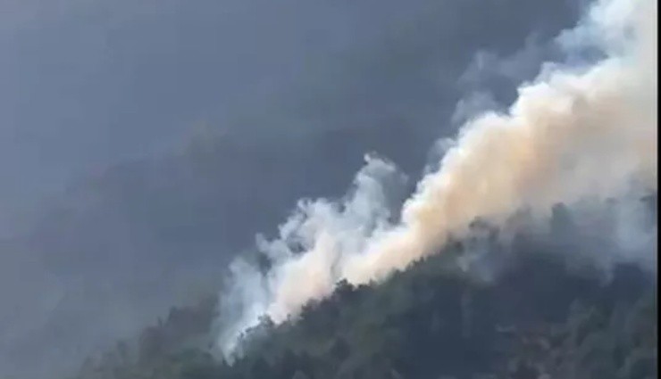 Muğla'da Orman Yangını!