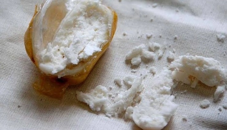 BM: 'Kokain Üretimi 2021’de Yüzde 35 Arttı'
