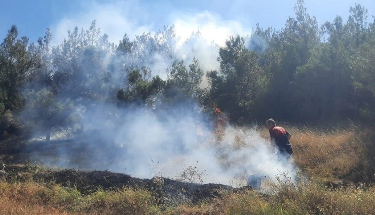 Amasya'da Çıkan Yangın Ormanlık Alana Sıçradı!