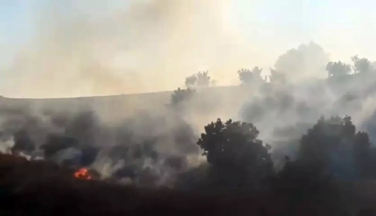Diyarbakır'da Orman Yangını!