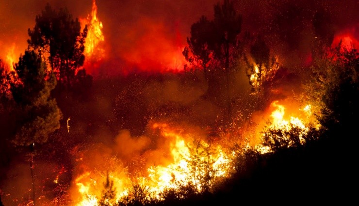 Orman Yangınları Kalp Krizi Riskini Artıyor!