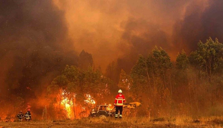 Portekiz’de Orman Yangınları Yayılıyor!