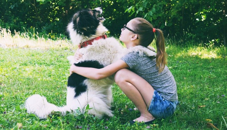 Bir Çocuk Yapana Bir Köpek Hediye!