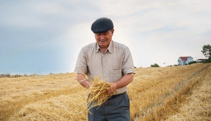 Çiftçilere Müjde! Bugün Hesaplara Yatıyor!