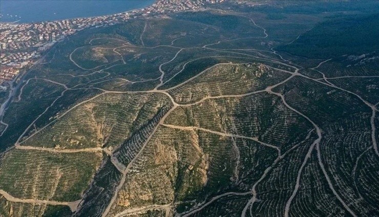 İzmir'de 26 Bölgedeki Ormanlık Alanlara Giriş Yasaklandı!