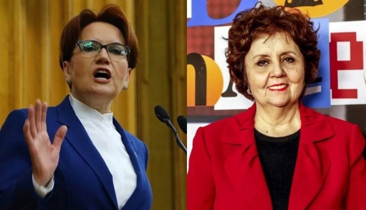 Meral Akşener, Ayşenur Arslan'a Dava Açtı!