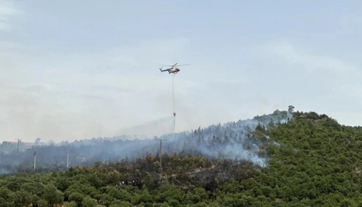 Çanakkale'de Orman Yangını!