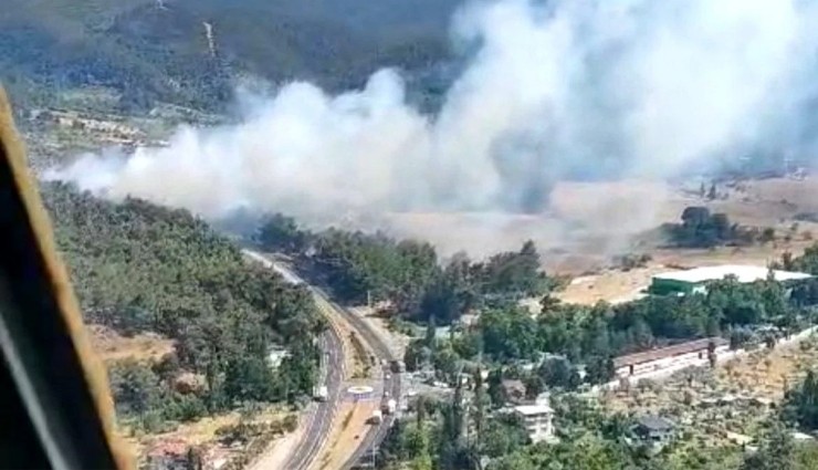 İzmir Kemalpaşa'da Orman Yangını!