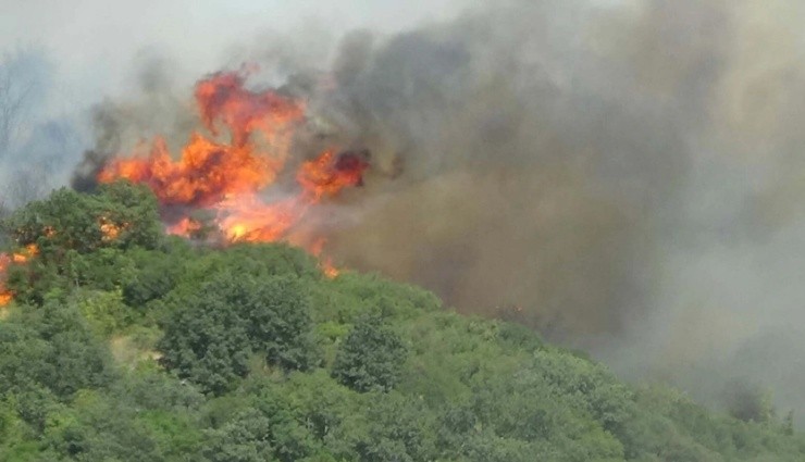 Çanakkale'de Korkutan Orman Yangını!