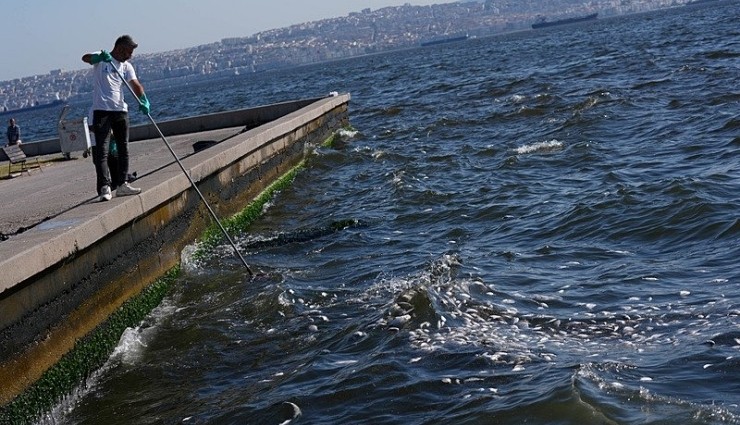 İZSU'ya 8.3 Milyon TL Ceza: Körfeze Çamur Döküldü!