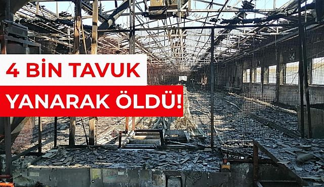 Çiftik Yandı! Dört Bin tavuk Telef Oldu!