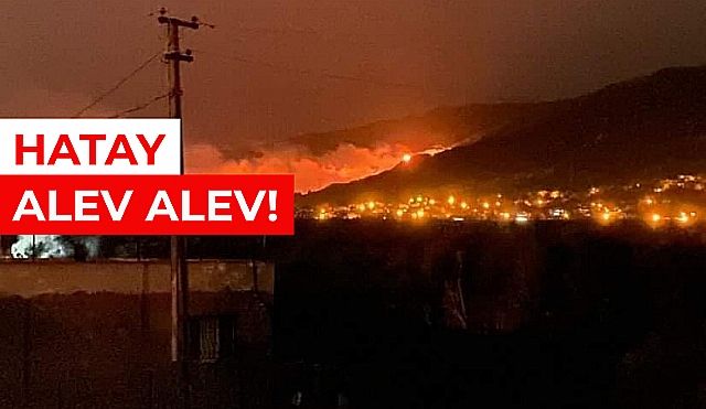 Flaş! Hatay'da Orman Yangını!