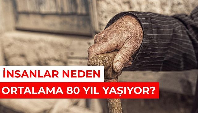 İnsanlar Neden Ortalama 80 Yıl Yaşıyor?