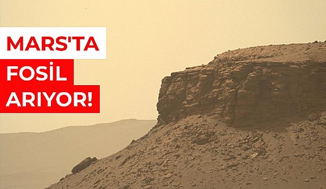 Mars Gezgini Deltadan Fotoğraflar Gönderdi.!