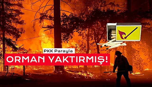 PKK 10 Bin Liraya Orman Yaktırmış!
