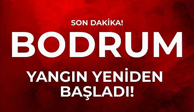 Son Dakika! Bodrum'da Yangın Yeniden Başladı!